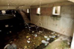 Quyền xử lý tài sản đảm bảo của tổ chức tín dụng gặp nhiều hạn chế, khiến việc xử lý nợ xấu khó khăn 