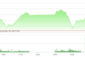 Phiên chiều 7/6: Cổ phiếu khoáng sản quay đầu, thị trường vẫn vững tiến