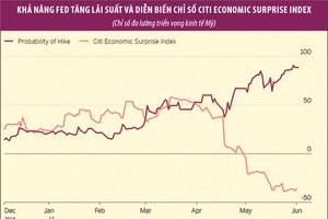 Nhà đầu tư đặt cược Fed tăng lãi suất vào 14/6