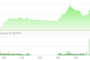 Phiên chiều 14/6: VN-Index chinh phục đỉnh mới, cặp đôi cổ phiếu của bầu Đức bay cao