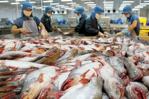 Thêm nhiều thị trường xuất khẩu gia nhập "câu lạc bộ tỷ đô"