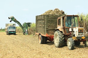 Trước giờ hoán đổi, BHS liên tục được gom