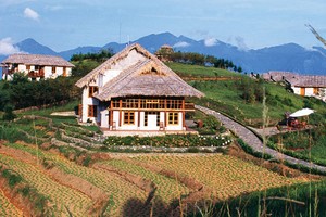 Đại gia bất động sản “mở đường” lên núi