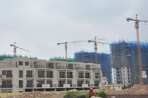 HUT phát hành riêng lẻ 50 triệu cổ phiếu