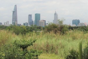 Nhà đầu tư nước ngoài còn nhiều băn khoăn với các thủ tục đầu tư dự án bất động sản tại Việt Nam. Ảnh: Đức Thanh