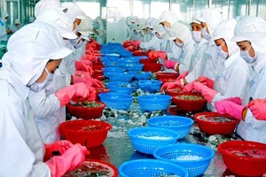 Việt Nam đang có nhiều cơ hội thuận lợi để tận dụng các tiềm năng hợp tác trong AEC để phát triển