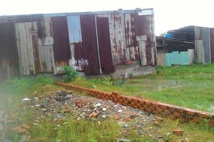 Một khu nhà tạm bợ tại huyện Bình Chánh. Ảnh: Lê Thắng