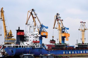 Vinalines dự kiến tiến hành IPO vào cuối năm nay. Ảnh: L.T