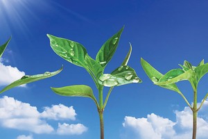 Kiến nghị từ thực tế doanh nghiệp