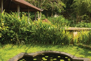 Về đây mặc áo the đi guốc mộc