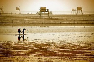 Khu kinh tế Thái Bình sẽ được xây dựng để trở thành khu kinh tế tổng hợp, đa ngành, trở thành địa bàn có tính đột phá của tỉnh Thái Bình. Ảnh minh hoạ. Nguồn: Internet