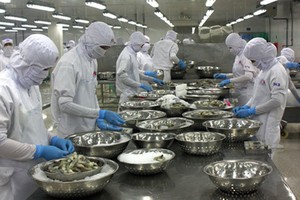 Trong 4,32 tỷ USD ngoại tệ thu về từ xuất khẩu thủy sản, mặt hàng tôm đã đóng góp gần 1,9 tỷ USD.