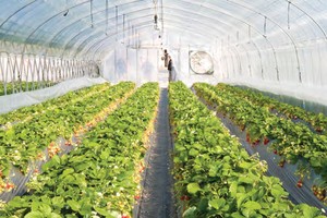 Tân Chủ tịch HAI: Chúng tôi đang lựa chọn đối tác chiến lược nước ngoài