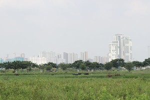 Dự án Thạnh Mỹ Lợi, quận 2 (TP.HCM) có nhiều sai phạm. Ảnh: Gia Huy