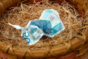 UBCK xử phạt thành viên Ban kiểm soát TEG và cổ đông lớn VPC