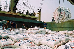 Nghị định 109/2011/NĐ-CP yêu cầu doanh nghiệp muốn xuất khẩu gạo phải có kho chứa 5.000 tấn gạo, nhà máy xay xát công suất 10 tấn/giờ…