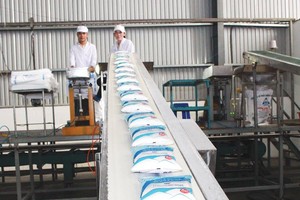 Ngành mía đường Việt Nam có nguy cơ tụt hậu xa so với Thái Lan và Philippines. Trong ảnh: Dây chuyền sản xuất của Thành Thành Công