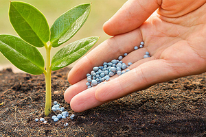 Cổ phiếu ngành phân bón “chạy chậm” hơn chính sách