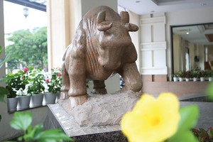 Báo cáo thường trực Chính phủ Đề án lập Sở GDCK Việt Nam