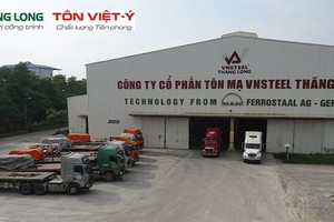 Nỗ lực của Vnsteel Thăng Long đã được ghi nhận bằng những danh hiệu như: Thương hiệu Quốc gia, Thương hiệu mạnh Việt Nam