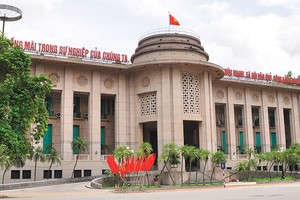 NHNN đã gây dựng được bộ máy, con người có kiến thức và kỹ năng nghiệp vụ chuyên sâu, cũng như mối quan hệ đối tác sâu rộng với WB/ADB/IMF