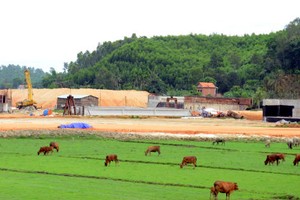 VEC thay “tướng” dự án cao tốc Đà Nẵng-Quảng Ngãi