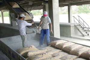 Cuộc chơi xi măng sẽ về tay ai?