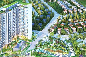 Rio Land chính thức giới thiệu dự án Thủ Thiêm Dragon