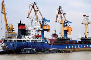 Vinalines là một trong những doanh nghiệp lớn có kế hoạch bán đấu giá cổ phần lần đầu ra công chúng trong quý IV/2017