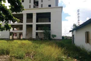 Mặc dù đã xây dựng xong phần thô, nhưng Chung cư Gia Phú vẫn nằm bất động để cỏ mọc nhiều năm nay. Ảnh: Việt Dũng