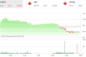 Phiên chiều 2/10: Nhà đầu tư thờ ơ, VN-Index “ngã nhào” cuối phiên