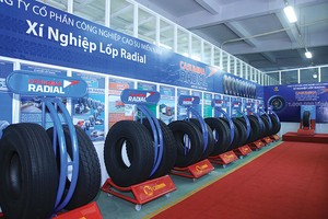 Cổ phiếu họ Vinachem được nhà đầu tư chú ý do thường trả cổ tức cao, hoạt động kinh doanh ổn định