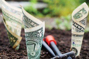 Cần định hình một hệ sinh thái phù hợp để tạo điều kiện cho các công ty Fintech phát triển