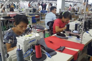 FTA với Hàn Quốc đang được khai thác hiệu quả để thúc đẩy xuất khẩu