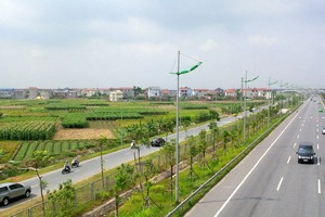 “Cò đất” Đông Anh bị tuýt còi cảnh báo