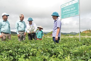 Cạnh tranh ngành dược sẽ đi vào chiều sâu