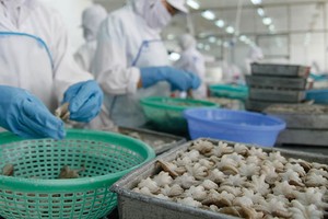 Chính phủ cần tập trung khơi thông các nguồn lực trong nước, phát triển mạnh mẽ khu vực kinh tế tư nhân