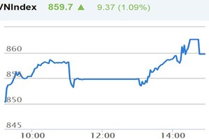 Phiên chiều 8/11: ROS, SAB giảm sâu, VN-Index vẫn lập đỉnh mới