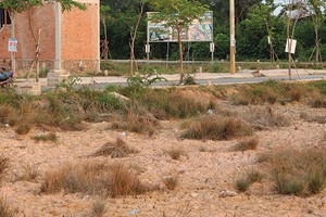 Dự thảo quy định mới về tách thửa của TP.HCM được đánh giá sẽ giúp cho thị trường đất nền TP.HCM phát triển bền vững. Ảnh: Việt Dũng