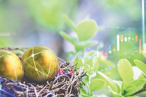 Chứng khoán xanh đã bắt đầu “nảy mầm”