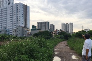 Ảnh Internet