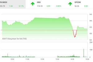 Phiên chiều 23/11: Giật mình