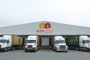 HII: Vững bước tăng trưởng