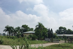 Sau cơn sốt đất, Mê Linh ngổn ngang dự án bỏ hoang. Ảnh: Kim Đức