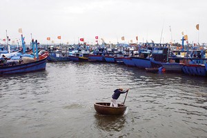 Các nhà bảo hiểm đã khẩn trương phối hợp cùng khách hàng khắc phục thiệt hại do cơn bão số 12 gây ra, nhanh chóng ổn định đời sống và sản xuất - kinh doanh 