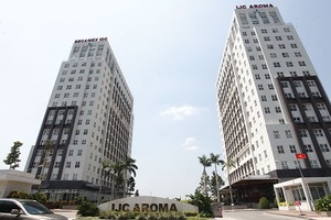 Liệu cuộc đấu giá Becamex có nóng như đấu giá Idico?. Ảnh: Lê Toàn