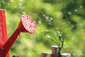 Nhân lên những “hạt giống xanh”