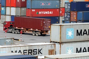 SFI tạm ứng cổ tức tỷ lệ 10% bằng tiền