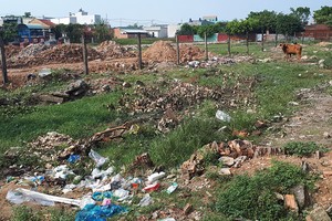 Đất nông nghiệp vùng ven TP.HCM dậy sóng sau quyết định tách thửa mới