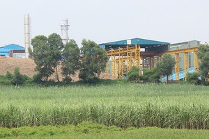 LSS đang tìm kiếm đối tác chiến lược